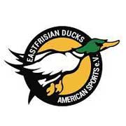 Aurich Eastfrisian Ducks