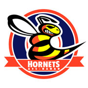 Hanau Hornets