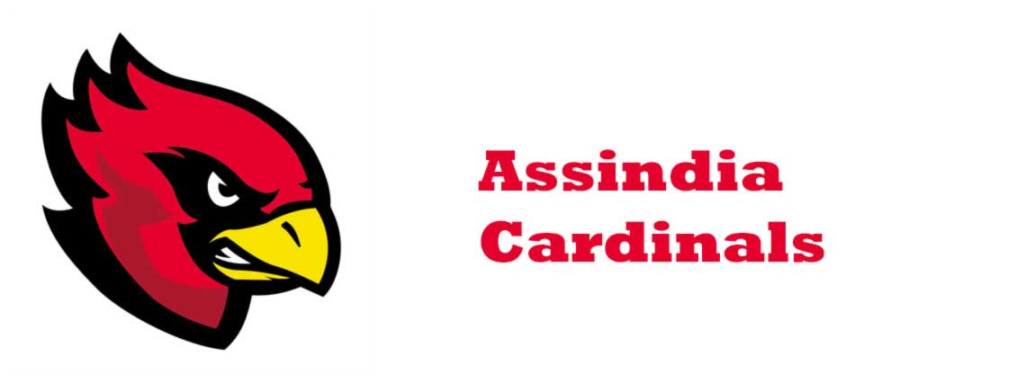 Assindia Cardinals